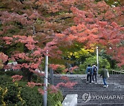 특목고·자사고, 서울대 40% 육박..."부모 경제력으로 쏠림 심화"