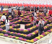 대구 동화사 승시축제 '법계도 체험'