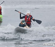 패들보드 즐기는 반려견