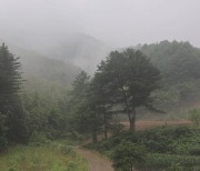 [날씨] 늦은 오후부터 중부 비...광화문 한글날 행사 '북적'