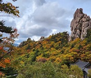 설악산 단풍 절정은 23일…내장산, 지리산은 언제쯤 물들까