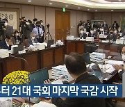 내일부터 21대 국회 마지막 국감 시작