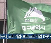 대구시, 스타기업·프리 스타기업 12곳 선정