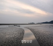 갯벌서 숨진 채 발견된 노부부…“함께 죽으려 했다” 진술한 아들