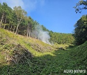 “5년간 불법산지 전용 피해, 축구장 3092개 면적”