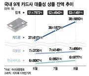 카드 빚 심상찮다…연 15% 고금리에도 잔액 53조 돌파