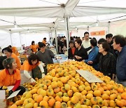 2023 청도반시축제·세계코미디아트페스티벌 '성료'