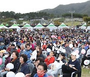 '제16회 구절초꽃축제' 축하공연 관람하는 관광객들