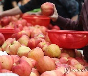 '안 오른 게 없다'…가공식품·외식·과일값도 뛰어