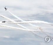 '세종축제' 에어쇼 펼치는 블랙이글스