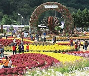 인제 가을꽃축제, 관람객 북적