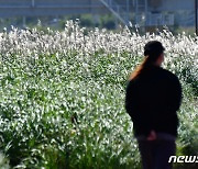 구름 많은 해질녘…일교차 10~15도 '해안 강풍' [퇴근길날씨]