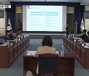 “제주 행정구역 3·4개 적합”…도의회 반발