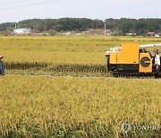 내일 맑고 일교차 커...강원 오전에 서리