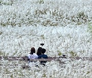 대구·경북, 대체로 흐리고 비…낮 20~23도