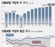 '외국인 효과' 뺀 제조업 고용보험 가입, 31개월 만에 감소 전환