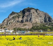 제주 산방산·용머리해안 지질 트레일 13~15일