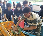 "안전한 수산물 판매"…군산시 20∼21일 직거래장터