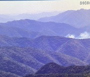 충북 보은서 산불...1시간 여 만에 주불 진화