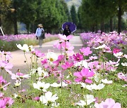 [오늘의 날씨] 부산·경남(11일, 수) 맑음…일교차 10~15도 '건강 유의'