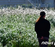 [오늘의 날씨] 울산(11일, 수)…대체로 맑고, 아침 14도