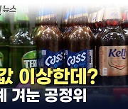 소주·맥주 가격 담합?...공정위, '술값' 정조준  [지금이뉴스]