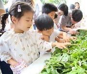 누에 치는 왕비의 재림 ~ 서초구, 4년 만에 잠원나루축제 열어