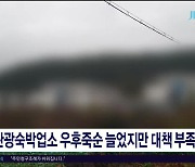 "관광숙박업소 우후죽순 늘었지만 대책  부족"