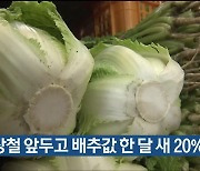 김장철 앞두고 울산 배추값 한 달 새 20% 상승