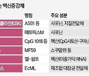 죽어가던 백신 살린 '명품조연' 면역증강제