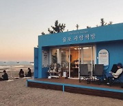 A book lounge closest to the sea allowing visitors to read about marine ecosystems while wading in the waves