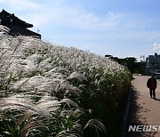 [오늘의 주요일정]경기남부(10월11일 수요일)