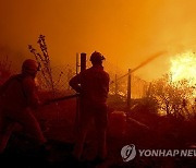 Argentina Wildfires