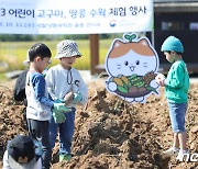 [오늘의 날씨] 전북(12일, 목)…맑지만 큰 일교차