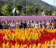 구름 많고 쌀쌀한 가을날씨…일교차 커 [내일날씨]