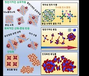 햇빛만 있으면 ‘미세플라스틱’ 제거하는 청바지 염료