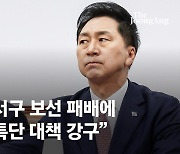 '강서구청장' 진교훈 56.52%·김태우 39.37%...17%p 차이났다