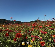 전국 맑고 일교차 큰 가을 날씨···내륙 안개 유의