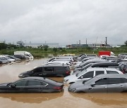 미확인 전손차량 4.6만대 해방 묘연…부품 재활용·무사고 중고차 둔갑 우려