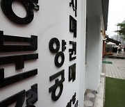 ‘전매차익 얻으려’ 장애인사촌 이름으로 특공 분양권 취득한 40대