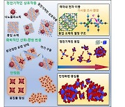 청바지 염색 '프러시안 블루'로 물속 나노 플라스틱 잡는다