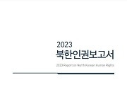 "북한인권보고서 발간, 통일부 기존 역할과 상충…이관 바람직"