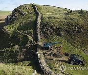 Britain Felled Tree