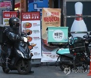 국감서 배민 질타…"'깃발 꽂기' 광고, 업주들 출혈 경쟁"