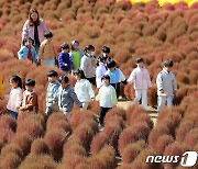 토요일 밤까지 서쪽 중심 요란한 가을비…일요일 흐려 [주말날씨]