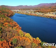 수원 광교산 솔향기숲, 산림청 주관 ‘대한민국 100대 명품숲’