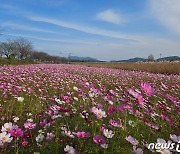 주말 비 소식 앞두고 구름 많고 흐린 하늘 [퇴근길날씨]