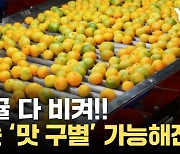 [자막뉴스] 인공지능으로 맛까지? 눈으로 확인 가능해진 '과일 맛'