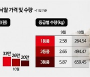 "110만원→33만원"…'금값' 자연산 송이, 한 달 새 가격 폭락