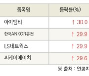 [fnRASSI]오늘의 상한가, 아이엠티 30.0% ↑